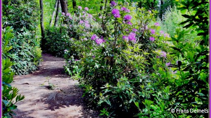 Lentewandeling - De Sneppe Meulebeke