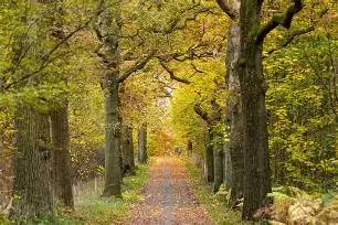 WANDELING MET EEN +